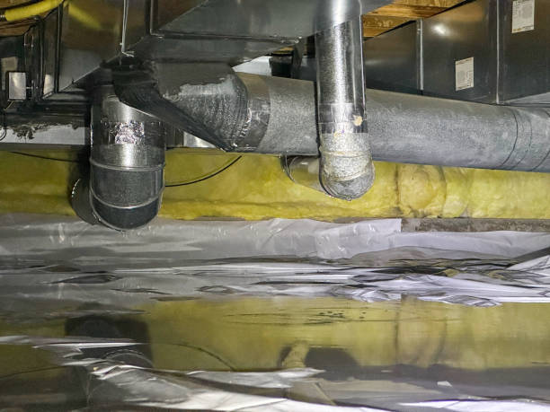 Best Local water damage restoration  in Commerce, TX