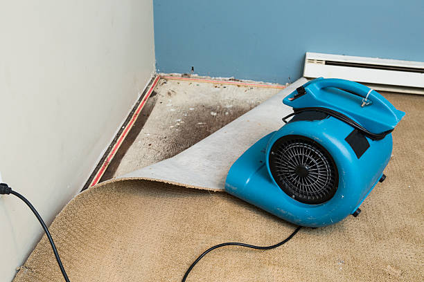 Best Fire Damage Restoration  in Commerce, TX